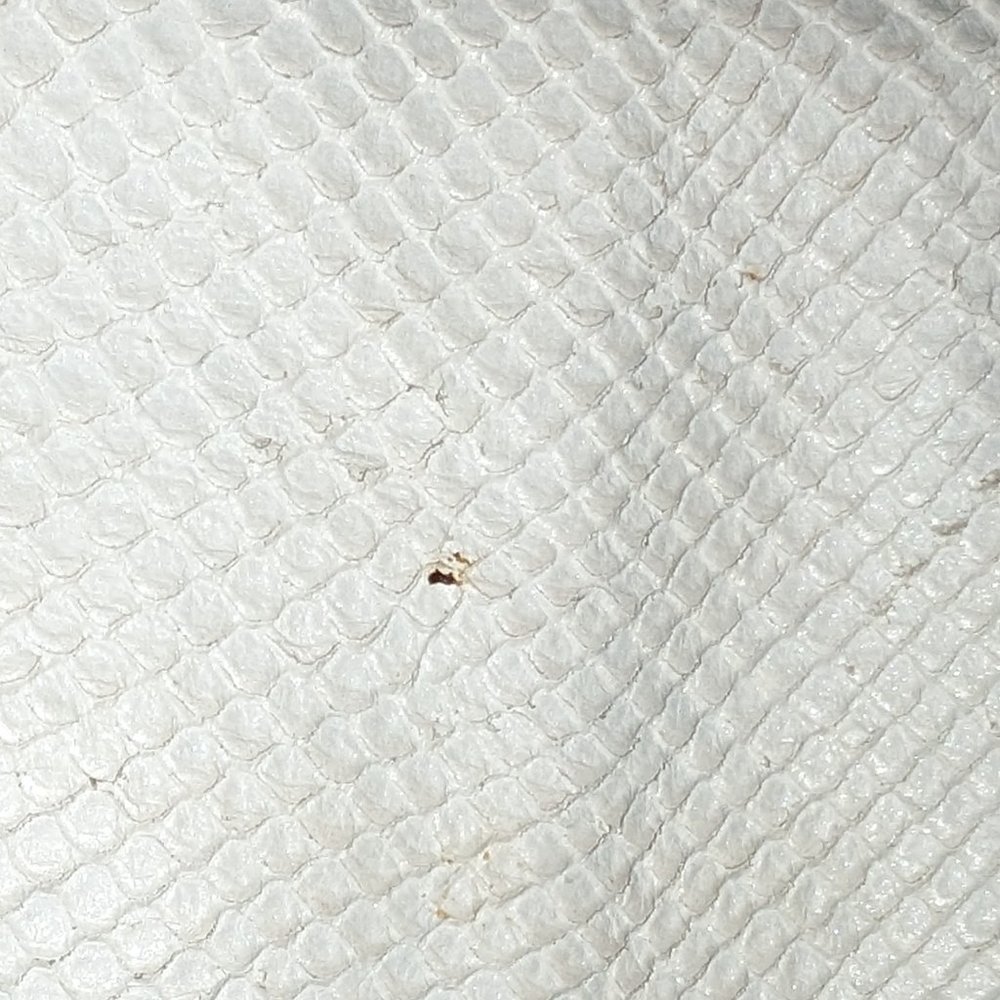 Coach Clutch - White Python - Picture 13 of 14